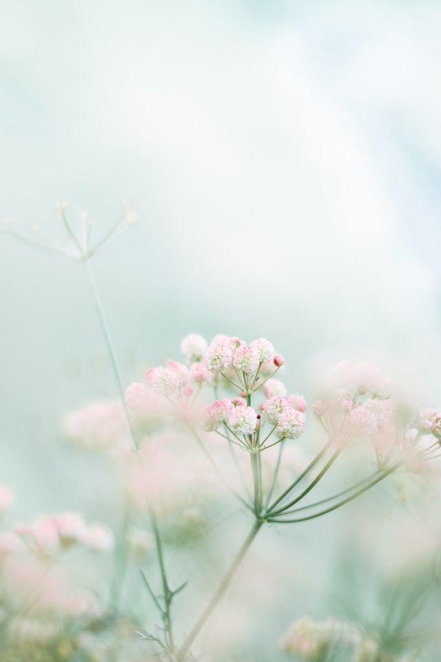 foad-roshan-TtDNu-Heh3Y-unsplash